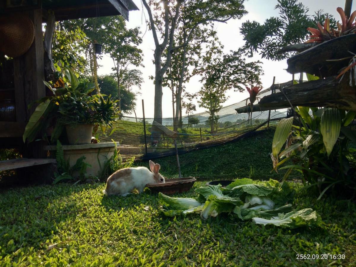 Baan Suan Jantra Home Stay Chiang Rai Exterior foto